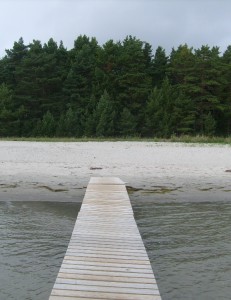 Taiga e spiaggia di Hide nel Baltico