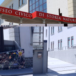 LINK: La “Chimera di Trieste” su www.luoghimisteriosi.it