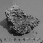 E’ una bufala la notizia che ha fatto il giro del Mondo sul ritrovamento di alghe fossili in un meteorite!