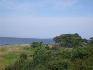 Panorama della spiaggia di Skansudde sull'isola di Gotland nel Mar Baltico